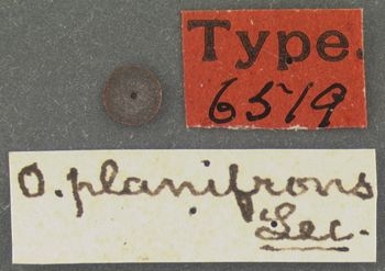 Media type: image; Entomology 6519   Aspect: labels